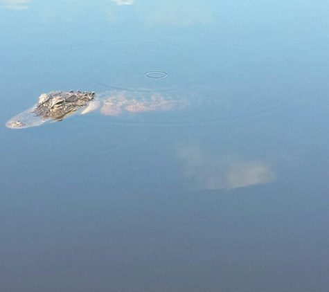 Corey Billie's Airboat Rides - Naples, FL