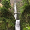 Multnomah Falls Lodge Restaurant gallery