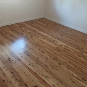 Gallery Image Number 1