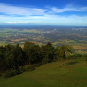 Gallery Image Number 6