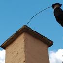 Loyalty Chimney & Dryer Vent Service LLC - Roofing Contractors