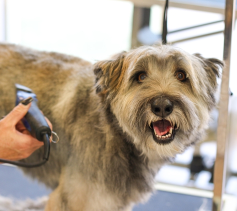 Lucky Paws Pet Spa - South Jordan, UT