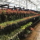 Tractor Supply Co