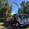Rocky Mountain Tree Care Specialists, Inc. gallery
