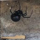 Ninefold Pest - Pest Control Equipment & Supplies