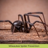 Nexus Pest Solutions gallery