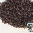 A Bee Man - Beekeepers