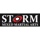 Storm Mixed Martial Arts - Martial Arts Instruction