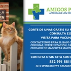 AMIGOS PET CLINIC