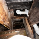 Mold Hunters Mold Remediation - Real Estate Inspection Service