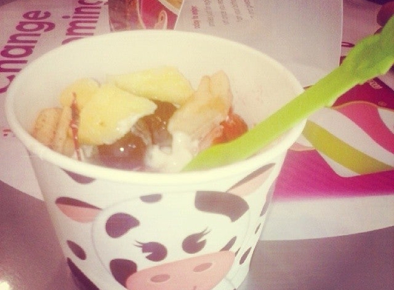 Menchie's Frozen Yogurt - Katy, TX