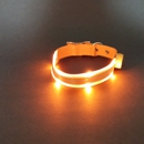 Lighted Leashes - Dog & Cat Grooming & Supplies