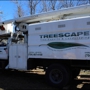 Treescape Tree Experts