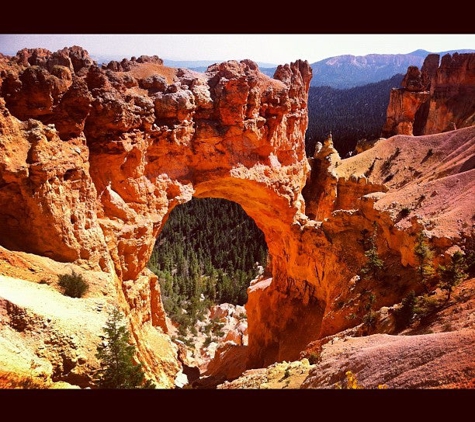 Bryce Canyon National Park - Bryce, UT