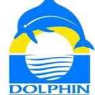 Dolphin Pool & Spa