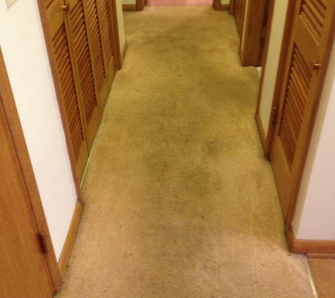 Professional Carpet & Upholstery Cleaning, Inc.