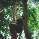 Giraffe Tree Services - Tree Service