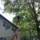 Peak Cranes - Crane Service