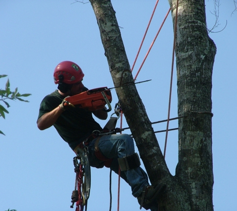 Montgomery Inc Tree Service - Macon, GA