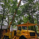 Clower Tree Service - Tree Service