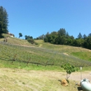 Big Basin Vineyards - Tasting Room - Restaurants