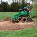 ADANCRUZTREESERVICEAND LANDSCAPING - Landscaping & Lawn Services
