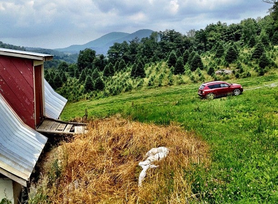 Circle C Tree Farms - Boone, NC