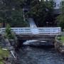 Mill Falls at the Lake