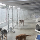 Cottage Kennel - Kennels