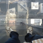 Skydeck Chicago