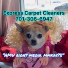 Express Carpet Cleaners