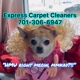 Express Carpet Cleaners