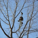 Burke's Tree Service - Tree Service