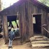 Oregon Vortex gallery