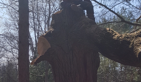 Triplowskis tree service - Reed City, MI