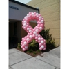 Balloons of Tampa Bay gallery