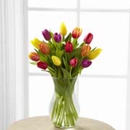 King's Florist - Flowers, Plants & Trees-Silk, Dried, Etc.-Retail