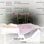 Tree Of Life Massage & Holistic
