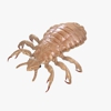 Remedy Head Lice Removal & Treatment Center Grand Rapids and Lansing gallery