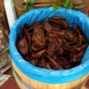 Mahogany Smoked Meats - American Restaurants