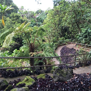 Wahiawa Botanical Garden - Wahiawa, HI