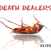 Elite Pro Pest Control gallery