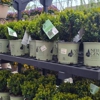 Tractor Supply Co gallery