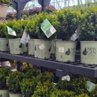 Tractor Supply Co