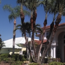 Harbor City Tree Surgeon - Tree Service