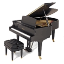 InTune Piano Service - Pianos & Organ-Tuning, Repair & Restoration