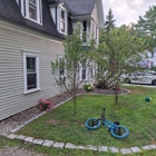Willett's Forest and Property Maintenance
