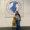 Dog Training Elite Northeast Ohio Facility gallery