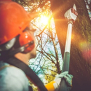 Mortensen Tree Service, Inc. - Centennial, CO