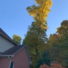 Anthony's Tree Service & Landscape